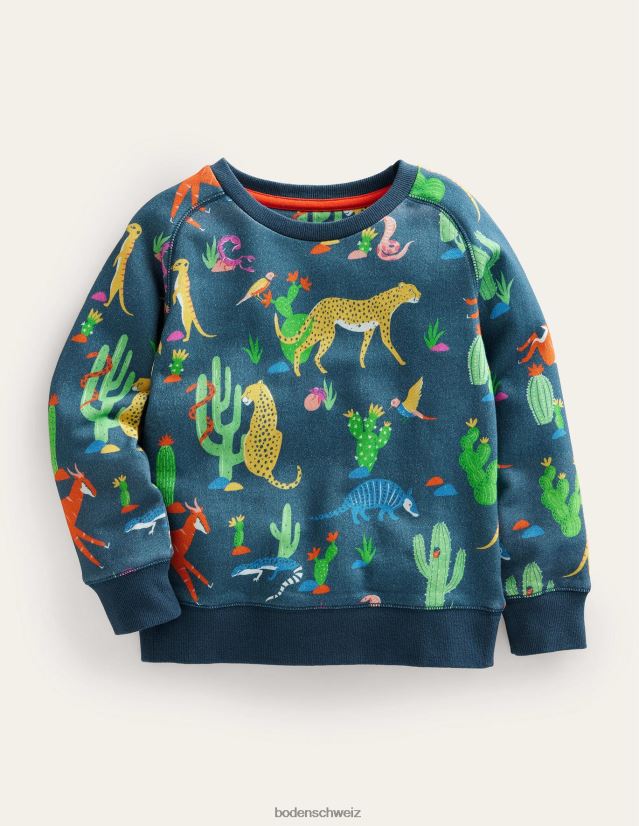 Boden Baby superweiches Sweatshirt VH86PT3319 Kleidung Mehrtier