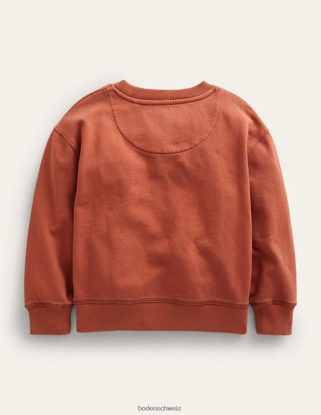 Boden Baby superweiches Sweatshirt VH86PT3396 Kleidung geröstete Kastanie